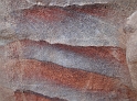 Petra (52)